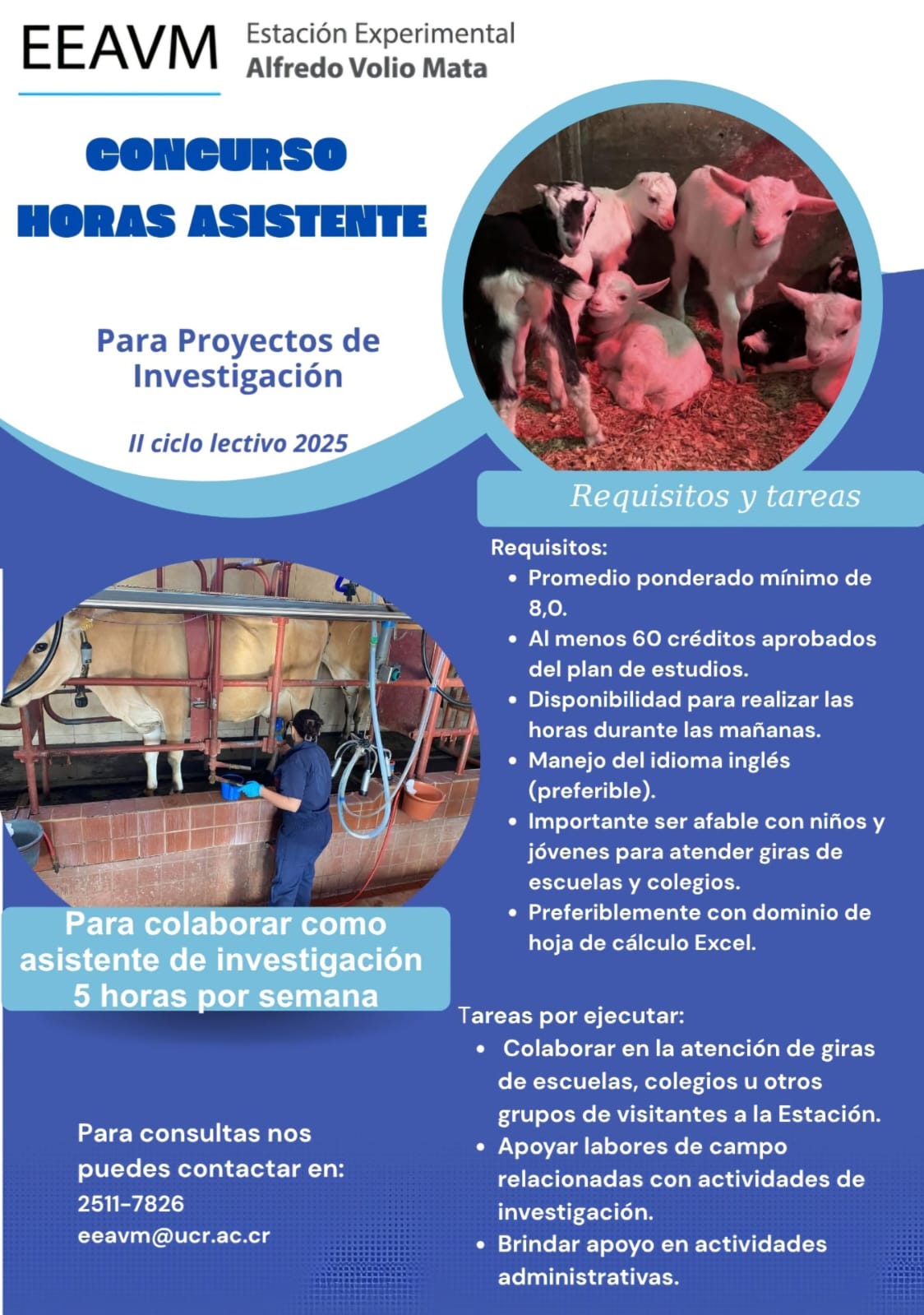 Horas Asistente II Ciclo 2025