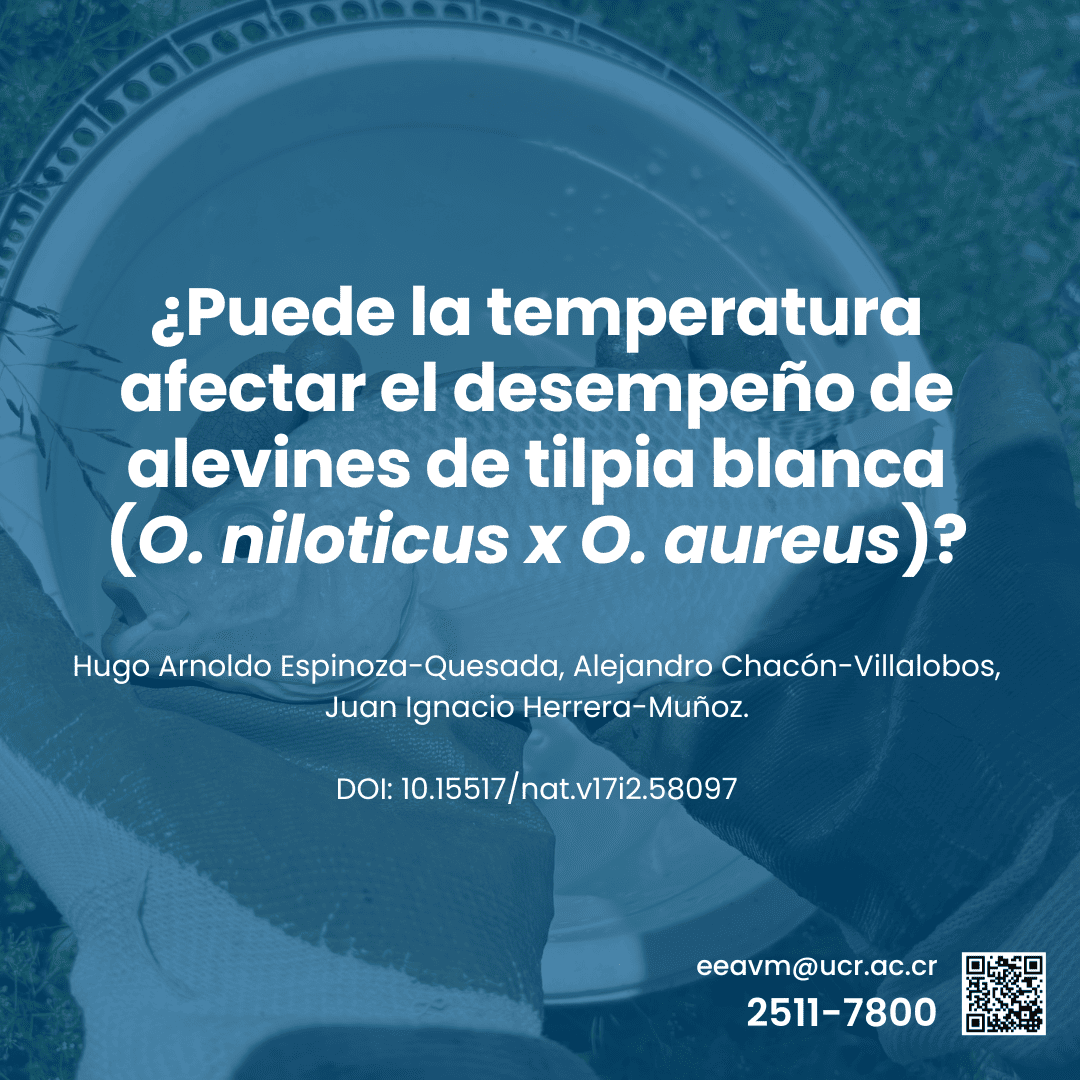 ¿Puede la temperatura afectar el desempeño de alevines de tilpia blanca (O. niloticus x O. aureus)?