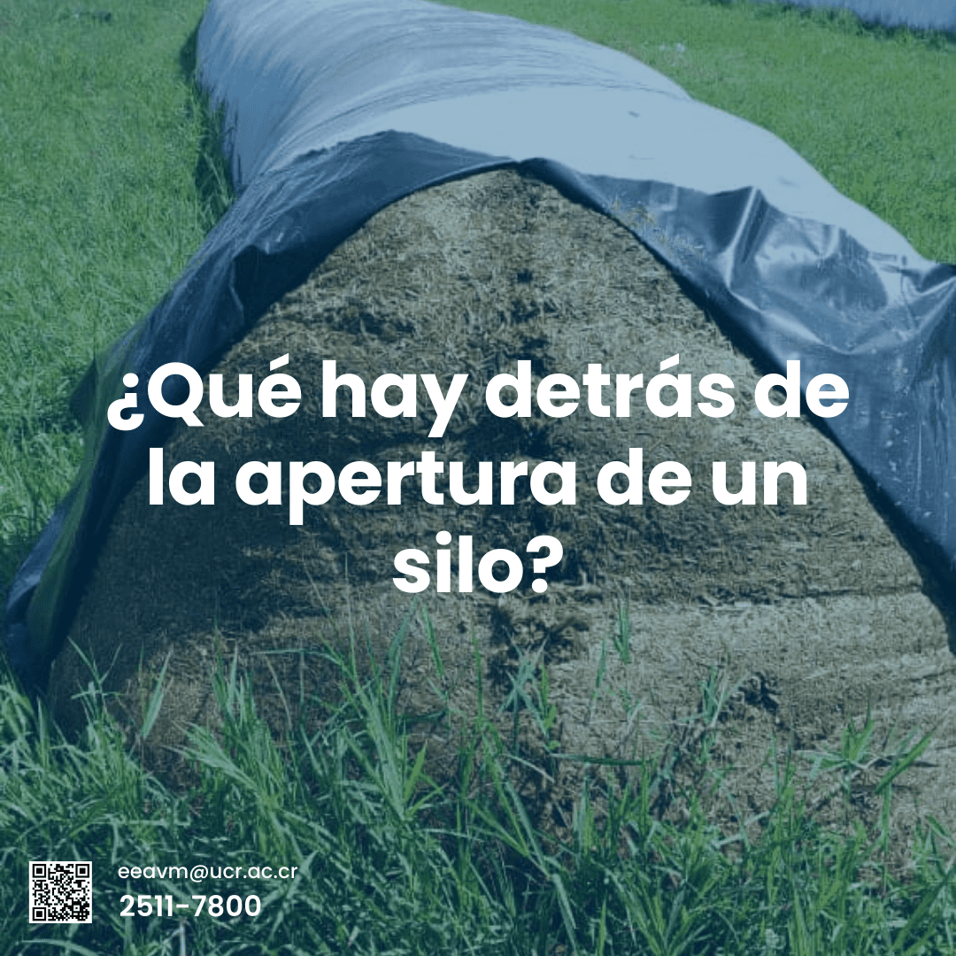 ¿Qué hay detrás de la apertura de un silo?