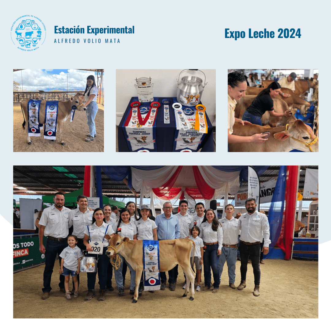 expo