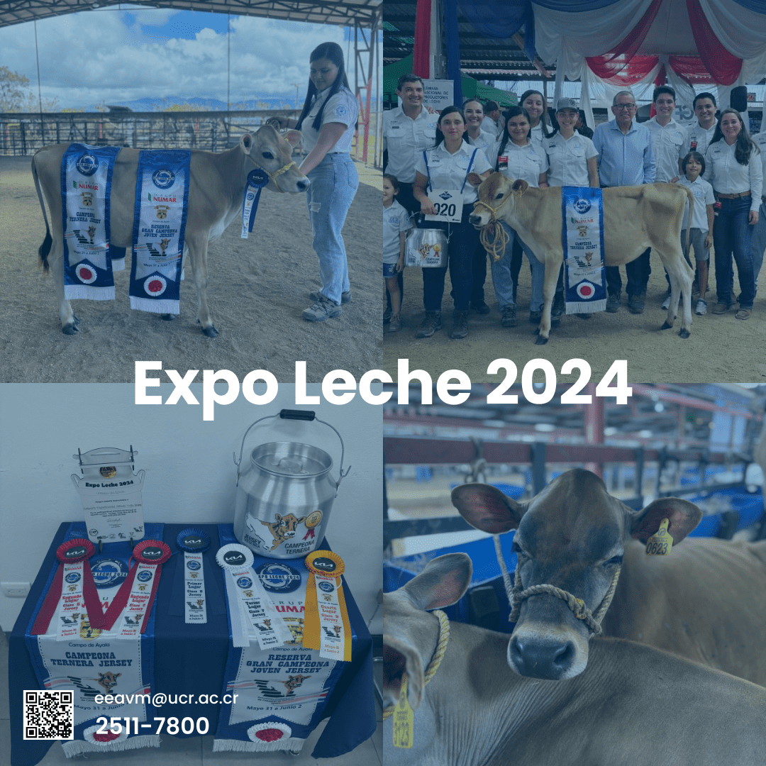 ¡Gran participación de la Estación Alfredo Volio Mata en la Expo Leche 2024!